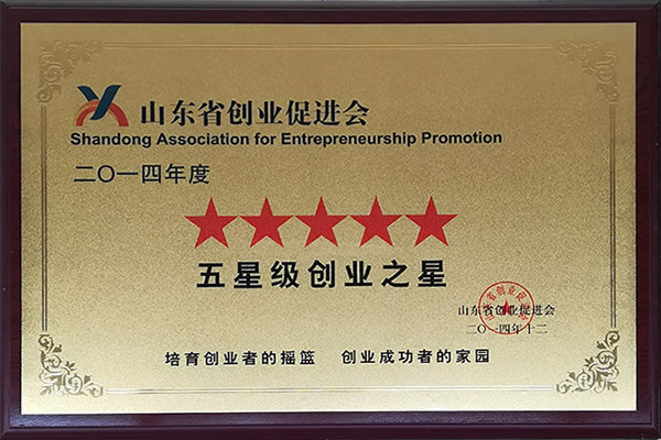五星創(chuàng)業(yè)之星